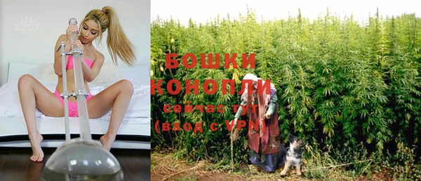 дурь Нягань