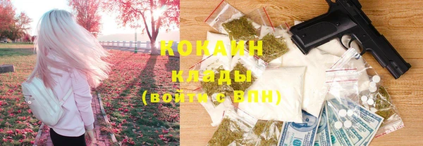 альфа пвп Новодвинск