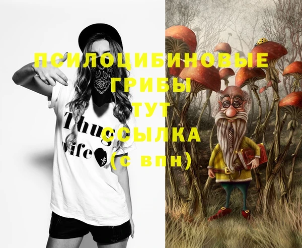 альфа пвп Новодвинск