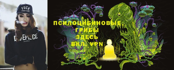 эйфоретик Новокубанск