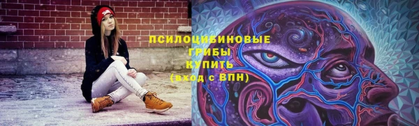 эйфоретик Новокубанск