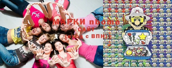 альфа пвп Новодвинск