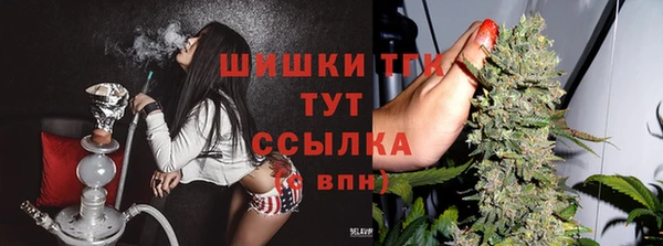 дурь Нягань