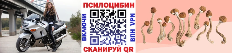 kraken   Чехов  Галлюциногенные грибы Magic Shrooms  магазин продажи  